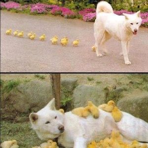 FOLLOW GAME ❗️❗️❗️💕